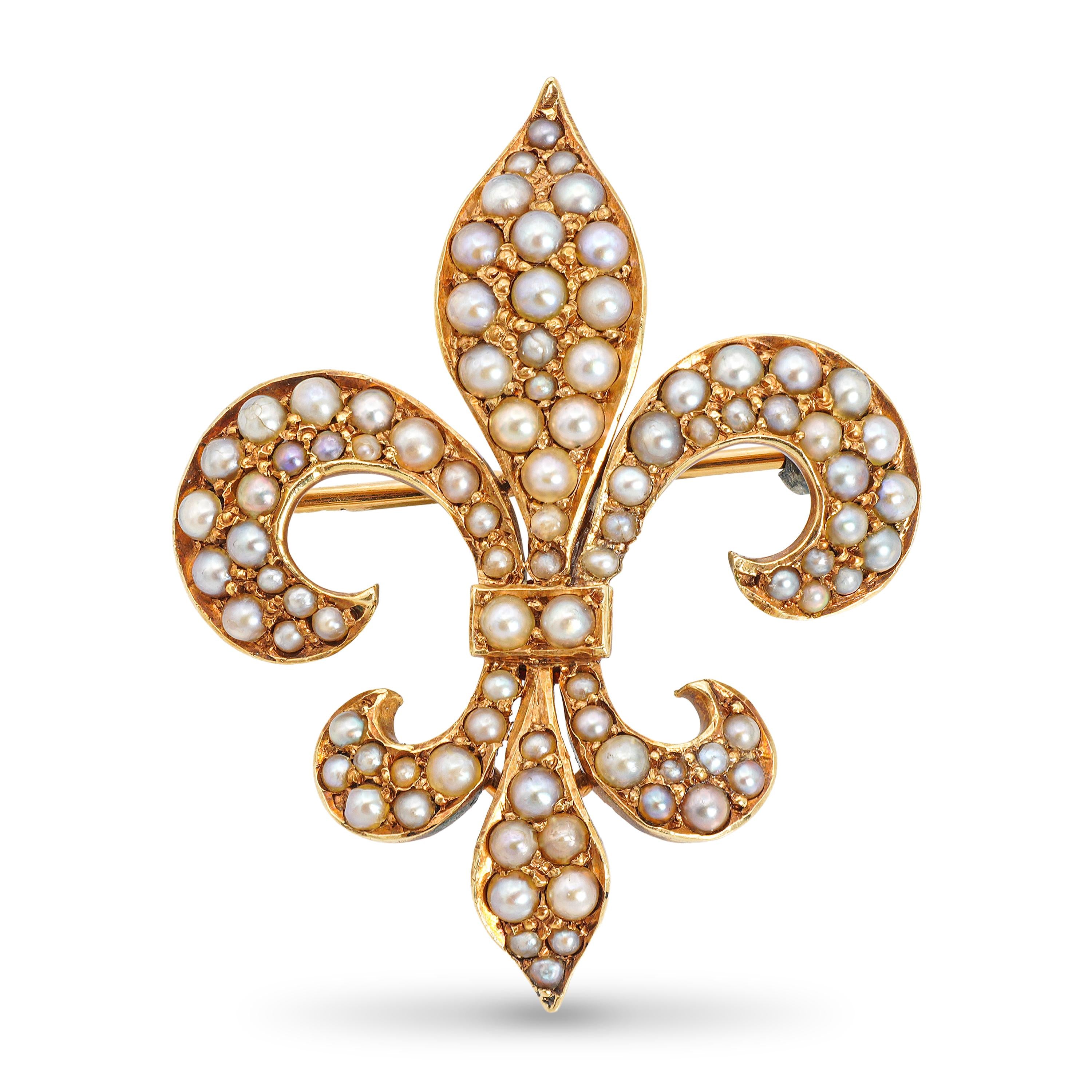 Antique 13k Yellow Gold Seed Pearl Fleur de Lis Brooch