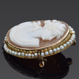 Antique 10K Yellow Gold Cameo Shell & Pearl Oval Brooch Pin Pendant