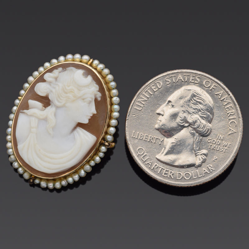 Antique 10K Yellow Gold Cameo Shell & Pearl Oval Brooch Pin Pendant