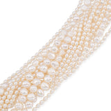 Vintage Tiffany & Co. 18k Yellow Gold Multipearl Strand Necklace