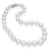 14k Tricolor Gold Clasp South Sea Pearl Strand Necklace