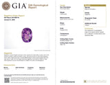 14k White Gold GIA 2.99ct Pink Sapphire and Diamond Ring