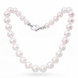 18k White Gold Graduated South Sea Pearl Necklace
