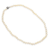 Vintage 14k White Gold Floral Clasp Pearl Strand Necklace