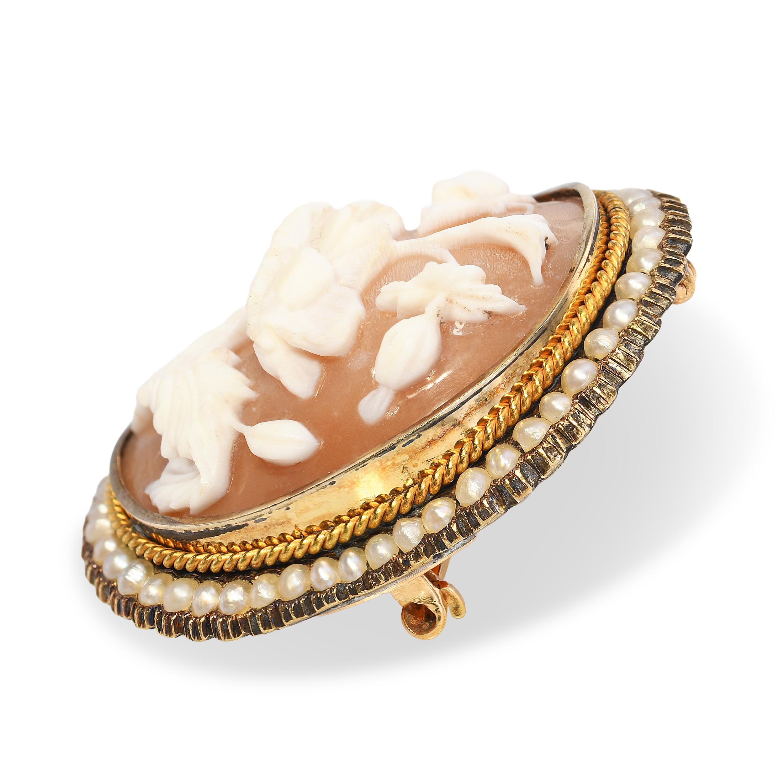 Victorian 14k Yellow Gold Seed Pearl Shell Cameo Poppy Flower Brooch