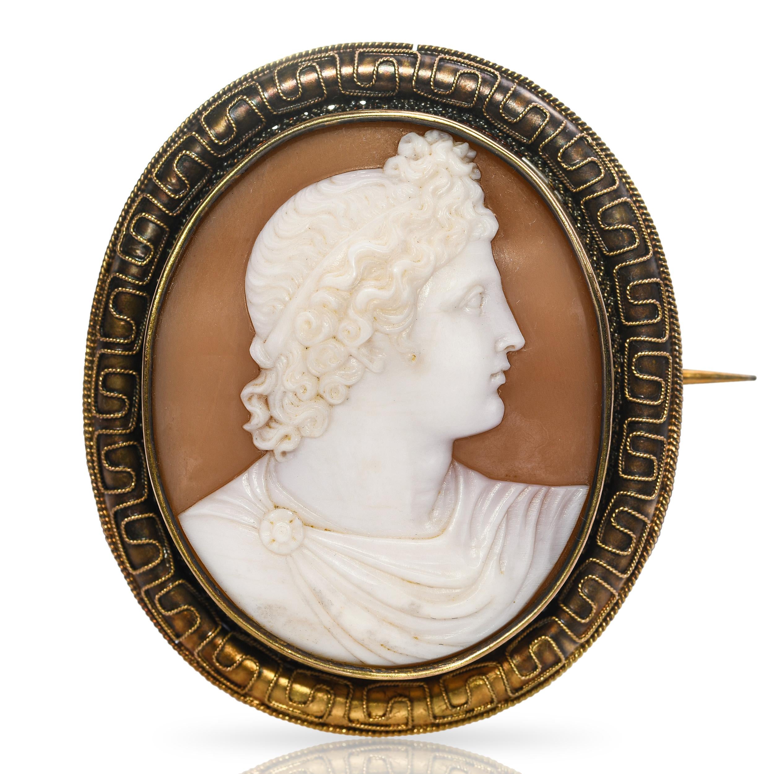 Antique 19k Yellow Gold Apollo Shell Cameo Brooch