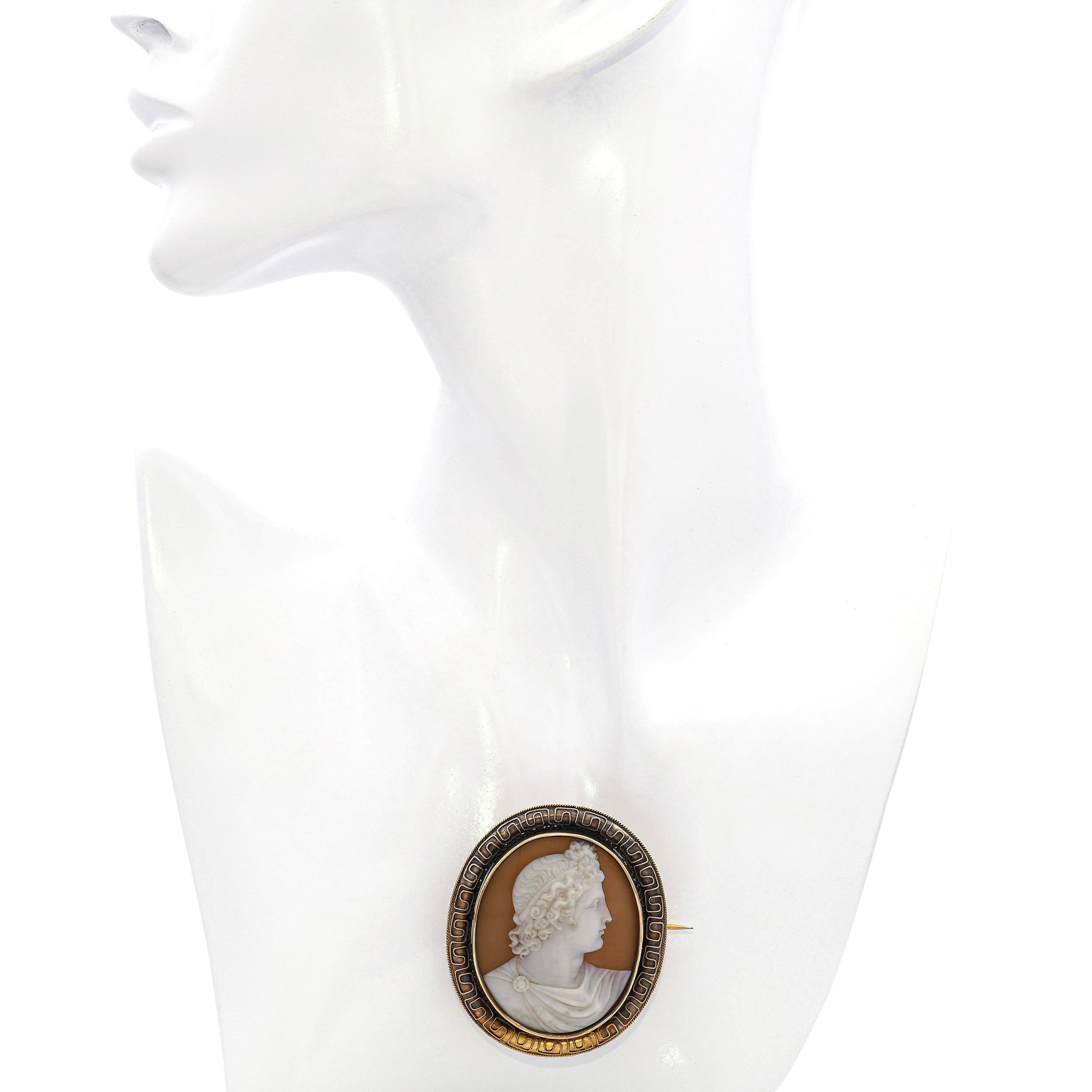 Antique 19k Yellow Gold Apollo Shell Cameo Brooch