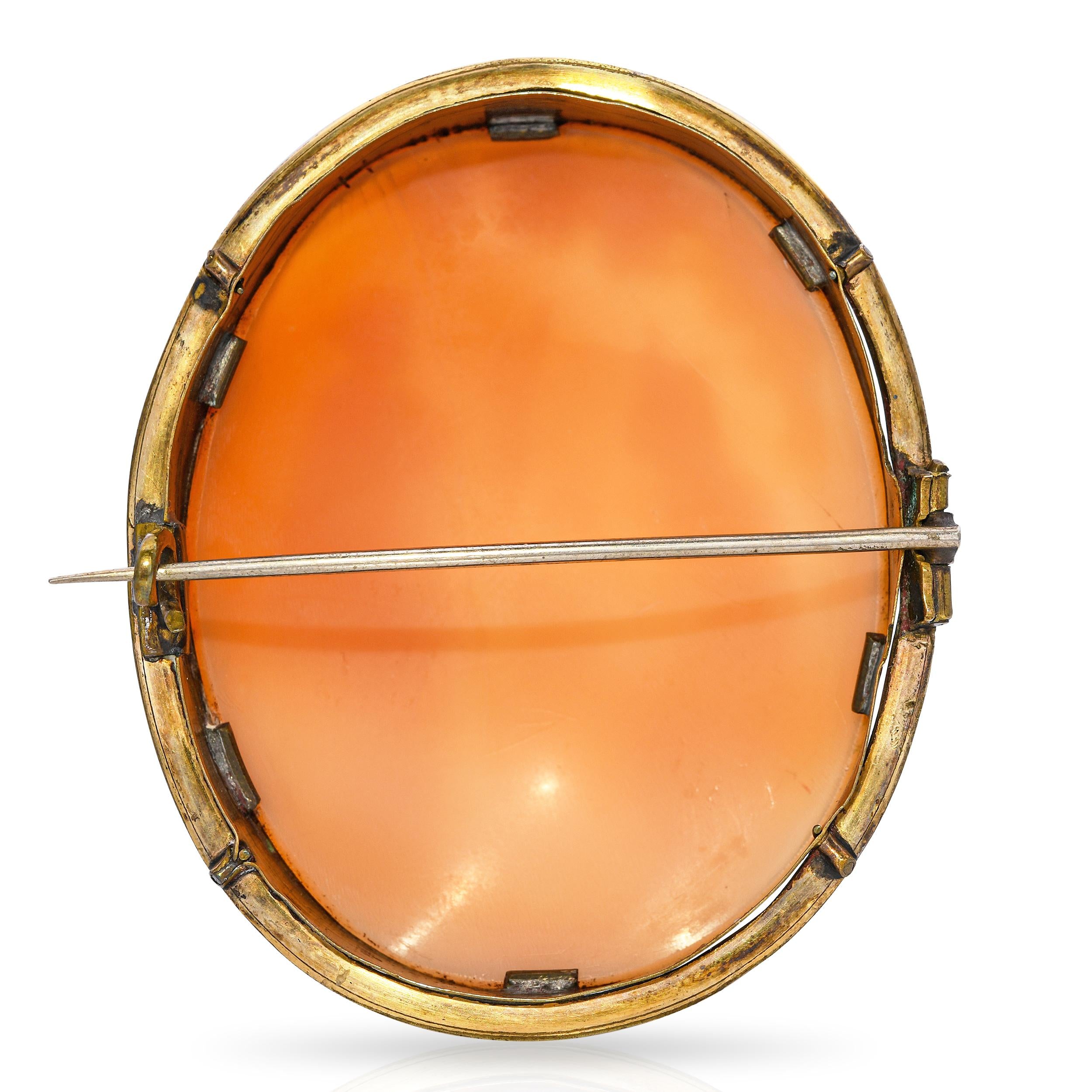 Vintage Gold Filled Shell Cameo Orpheus Playing the Lyre Brooch