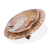 Antique 10k Yellow Gold Shell Cameo Heron Under Mangroves Brooch