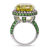 Black Rhodium 18k White Gold 15.9ct Lemon Quartz with Tsavorite and Diamond Ring