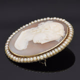 Antique 14K Yellow Gold Cameo Shell & Sea Pearl Oval Brooch Pin 13.5 Grams